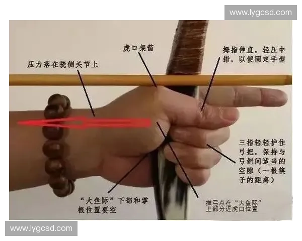 持弓姿势与角度对射箭精准度的影响及优化技巧分析